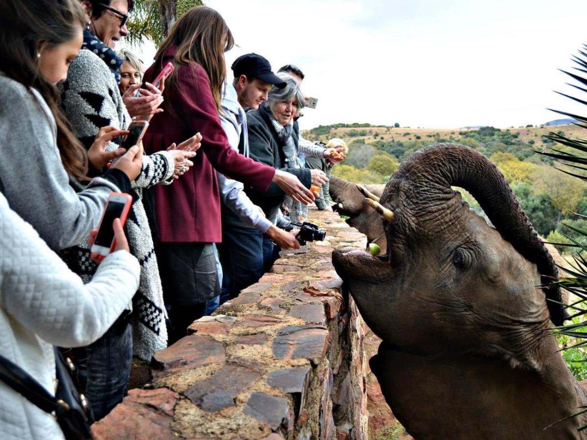 Glen Afric Country Lodge Hartbeespoort Ngoại thất bức ảnh